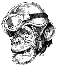 Motorkář opičák